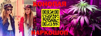 гашик Кинель