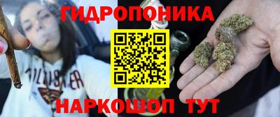 гашик Кинель