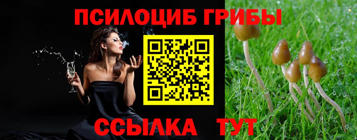Псилоцибиновые грибы ЛСД Кунгур